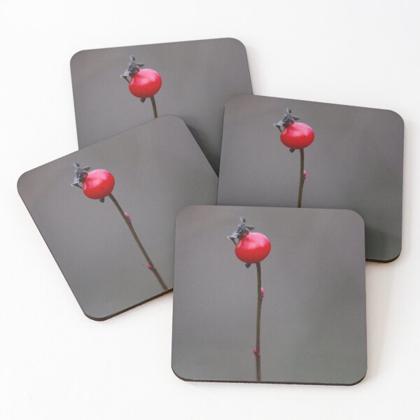 Item preview, Rose hip and buds... designed and sold by RichImage.