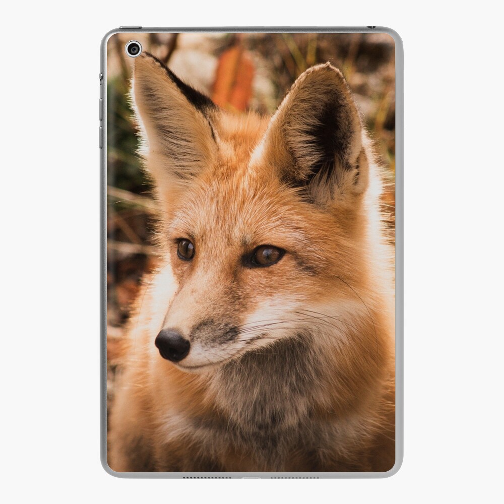 Fox and Raven iPad Case & Skin by thislia