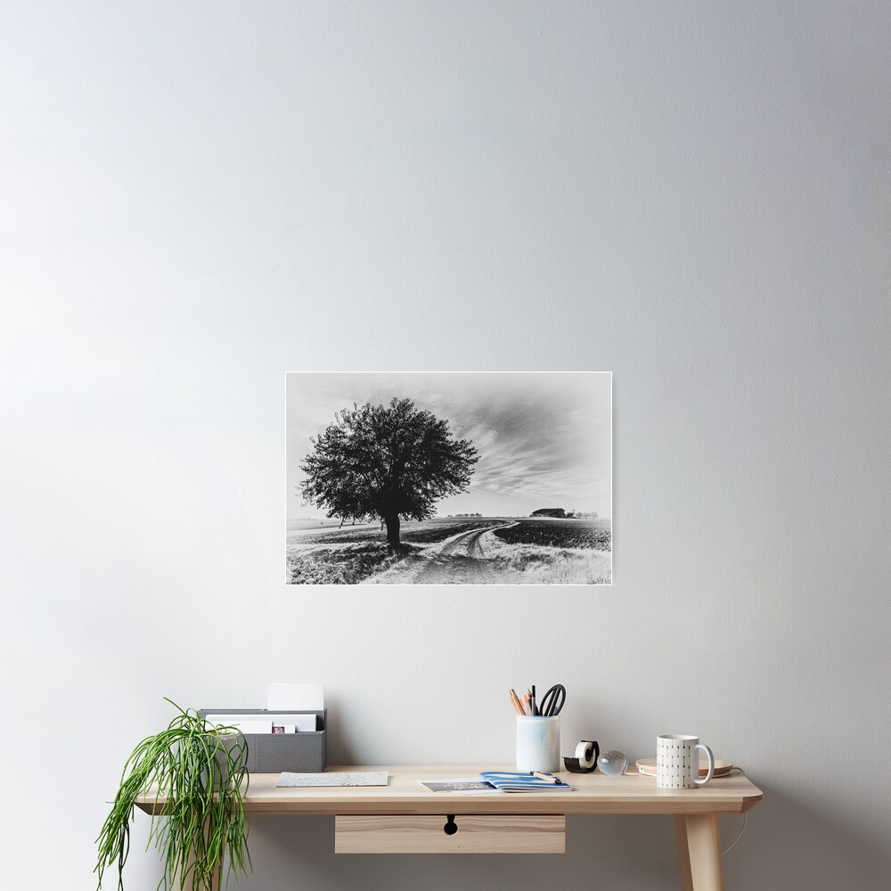 Item preview, Poster designed and sold by Livius.