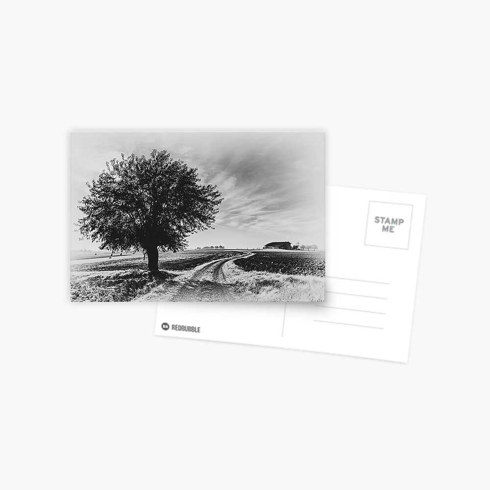 Item preview, Postcard designed and sold by Livius.