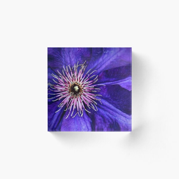 The Goodness Of Nature Acrylic Block