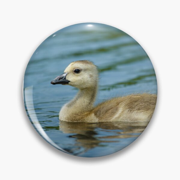 Item preview, Small goose in the water designed and sold by Borinna.