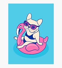 Frenchie enjoys Summer on Flamingo Pool Float in swimming pool Photographic Print