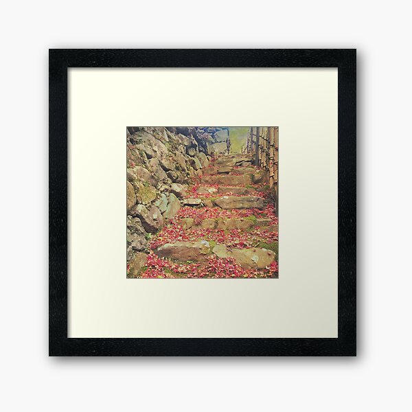 Wabisabi Rubble Masonry Bamboo Fence Fallen Leaves Framed Art Print