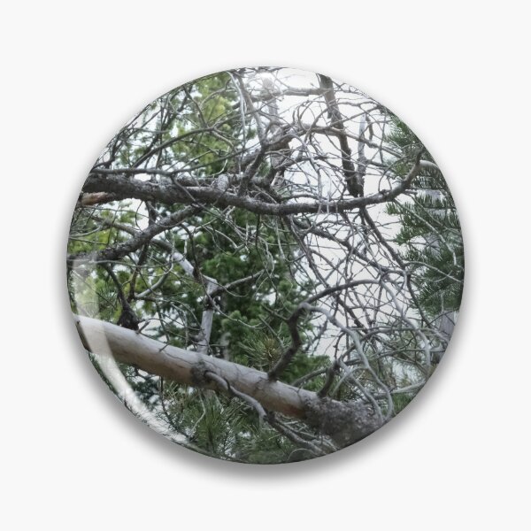 Item preview, Tree Limbs in the Forest designed and sold by Haley-Marshall.