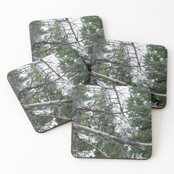 Item preview, Tree Limbs in the Forest designed and sold by Haley-Marshall.
