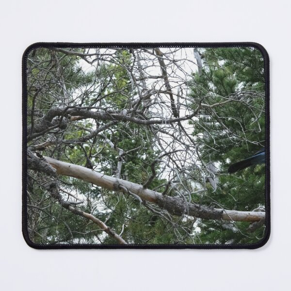 Item preview, Tree Limbs in the Forest designed and sold by Haley-Marshall.