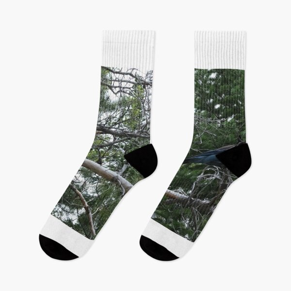 Item preview, Tree Limbs in the Forest designed and sold by Haley-Marshall.