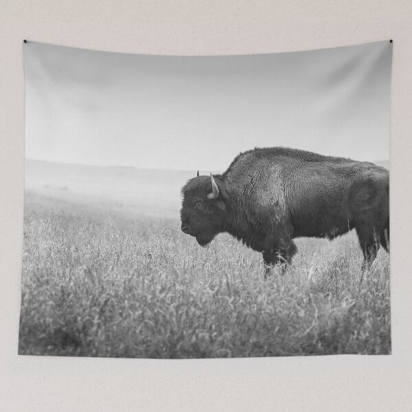 Item preview, American Bison designed and sold by robeldevyn.