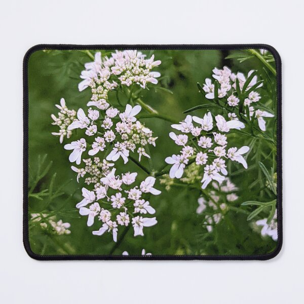 Item preview, Cilantro  designed and sold by arfff.