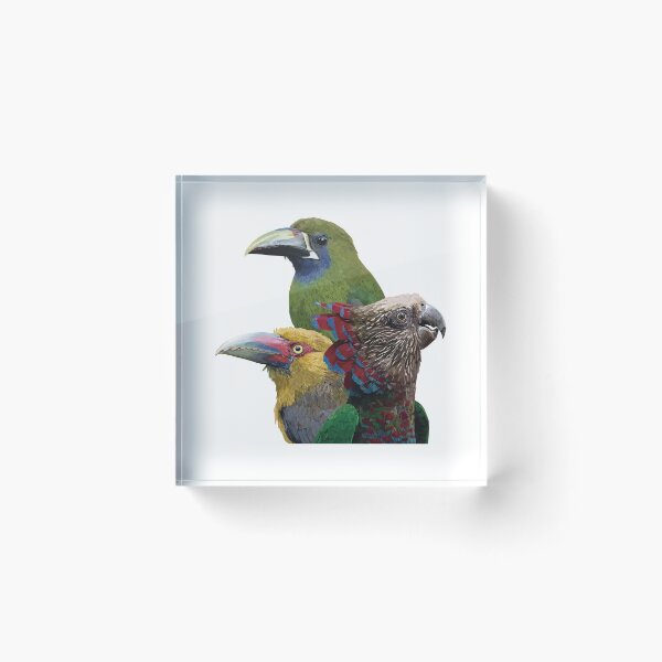 Item preview, toucans and parrot designed and sold by obscurite.