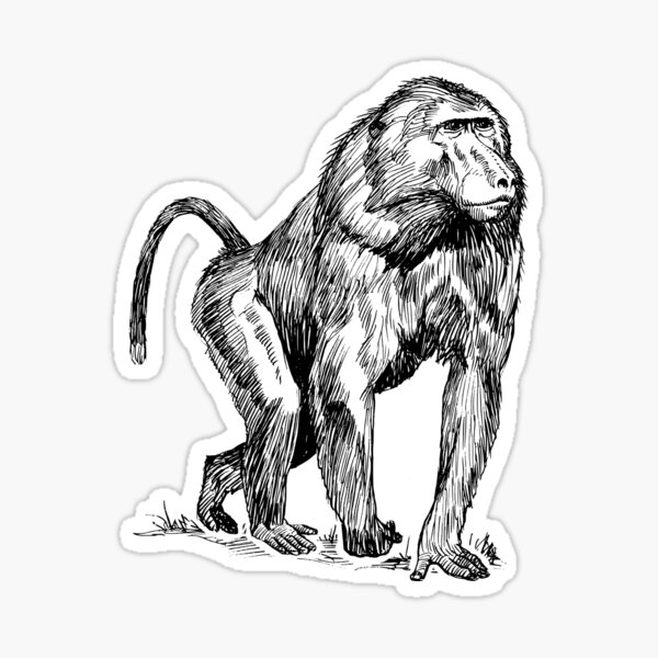 Packaged Fuzzy Stickers - FZ1303 - Baboon sticker<BR>(FREE STANDARD  SHIPPING)