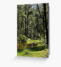 Deep in the Woods Greeting Card