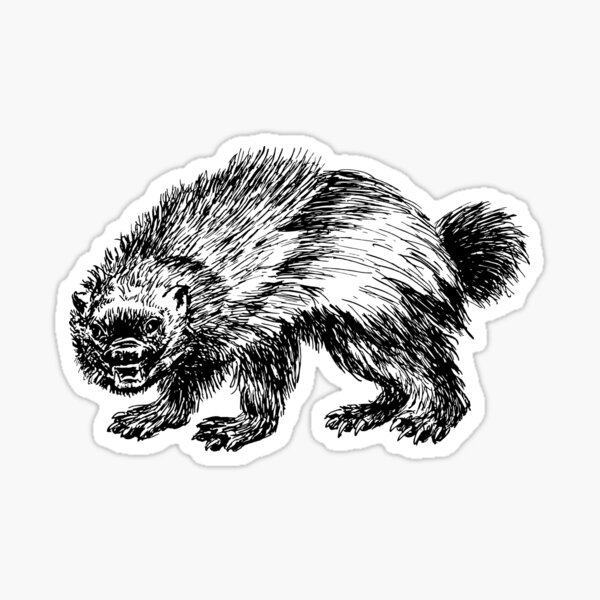 Wolverine Wolverine