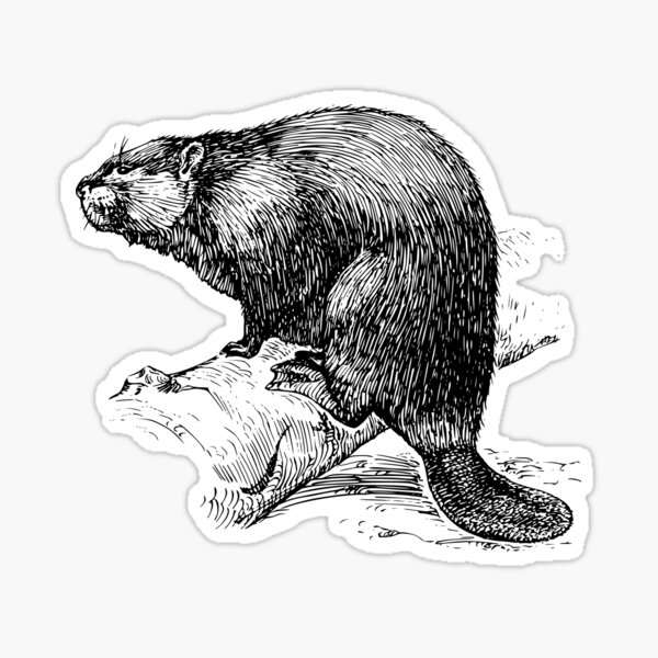Item preview, Beaver designed and sold by seriouscereal.