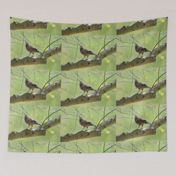 Item preview, Spring is Coming designed and sold by Kathleen Brant.