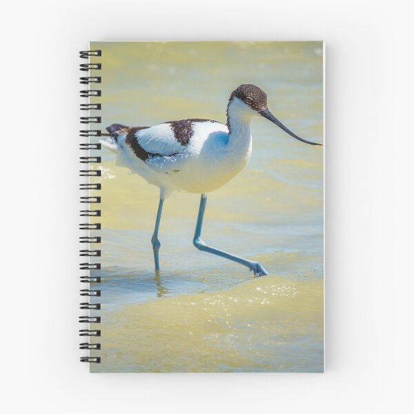 Item preview, Pied Avocet designed and sold by Ralph Goldsmith.