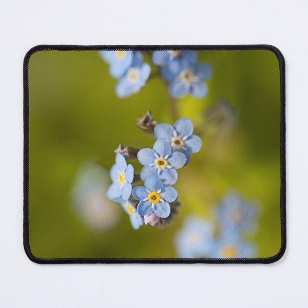 Item preview, Forget Me Not In Season  designed and sold by Joy Watson - Natural Light Photography .