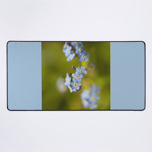 Item preview, Forget Me Not In Season  designed and sold by Joy Watson - Natural Light Photography .