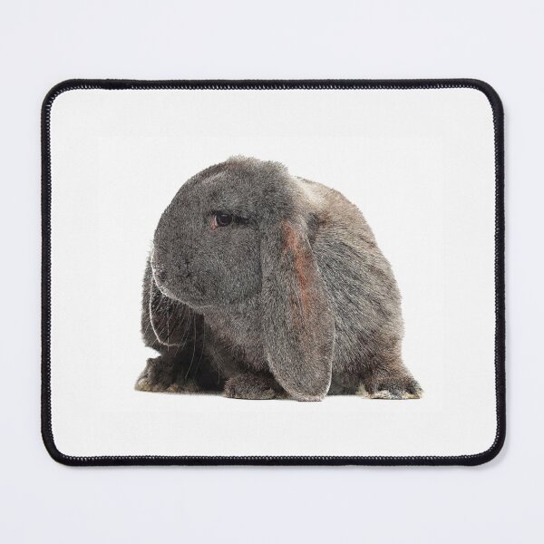 Item preview, Tellement mignon, French Lop Rabbit - Custom Pet Portrait Art Studio designed and sold by SidneyBayer.