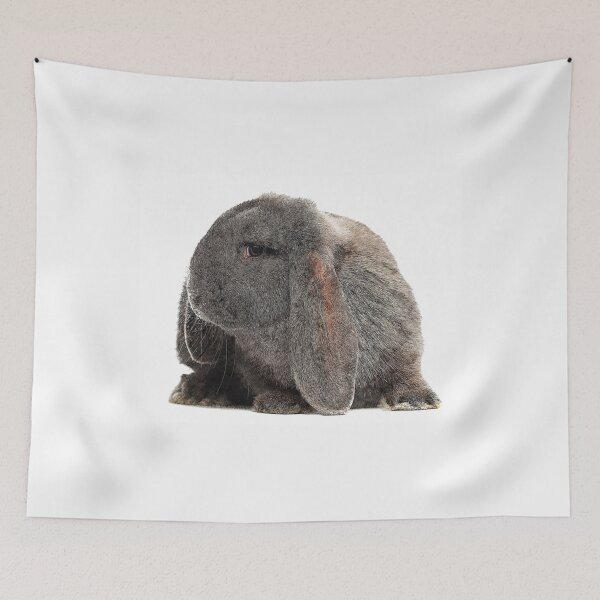 Item preview, Tellement mignon, French Lop Rabbit - Custom Pet Portrait Art Studio designed and sold by SidneyBayer.