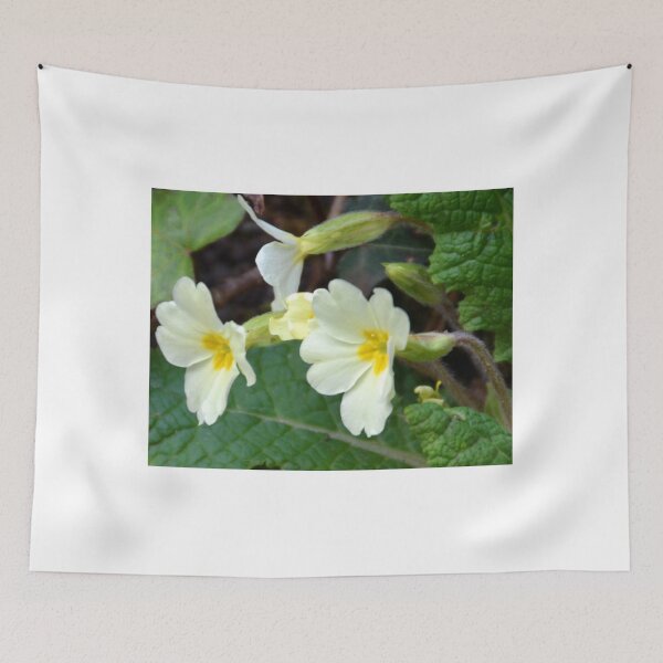 Item preview, Primrose Or Primula -Lyme, Dorset UK designed and sold by lynn carter.