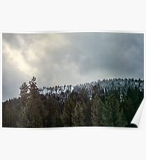 Nordkalifornien Winter Poster