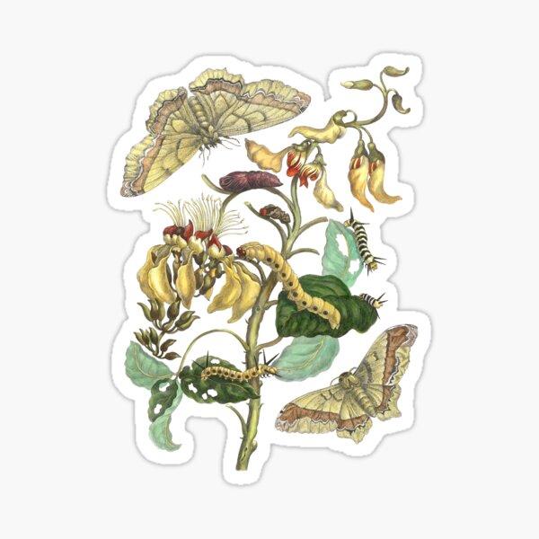 Item preview, Metamorphosis & Change - Caterpillar changing into Butterfly on flower vine designed and sold by jgmorga3.