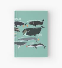 Baleen Whales Hardcover Journal