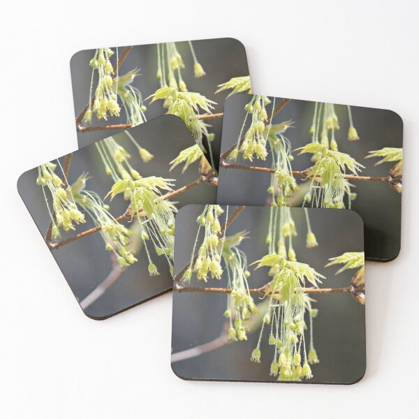 Item preview, Nature's Earrings  designed and sold by photoclique.