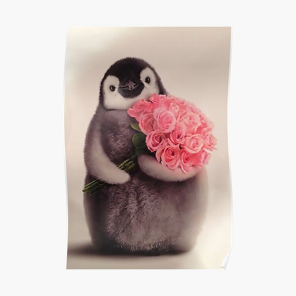 "Penguin and rose cute art " Poster for Sale by CampenKlein Redbubble
