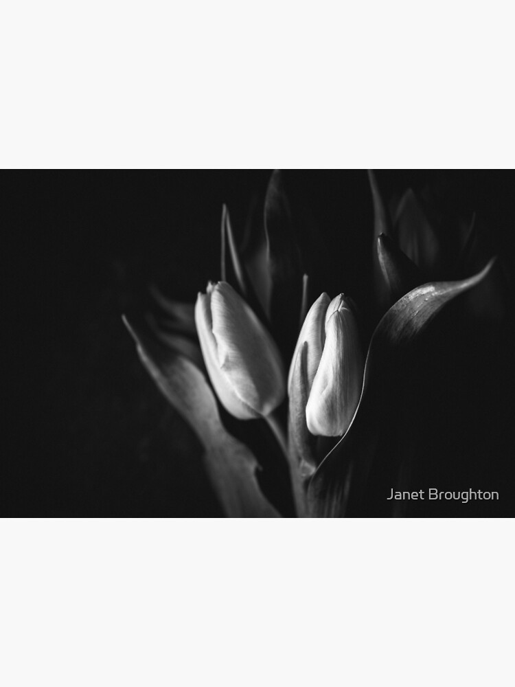 Lámina rígida «Tulipanes negros y blancos» de definitelydream | Redbubble