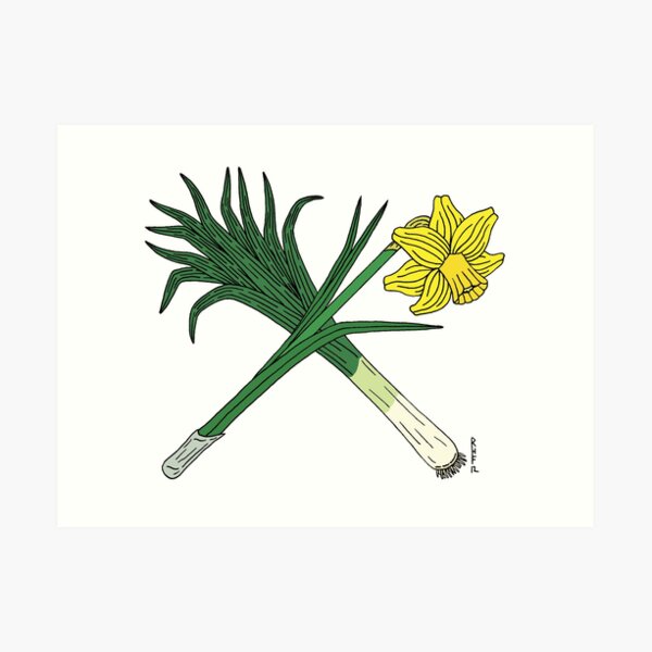 Daffodil symbol