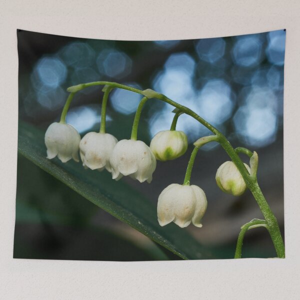 Item preview, Mary's tears. Lily of the valley designed and sold by Jouko Lehto Photography.