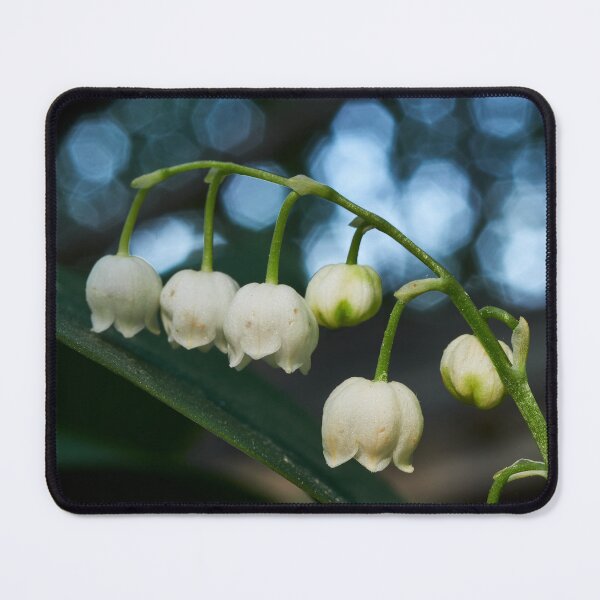 Item preview, Mary's tears. Lily of the valley designed and sold by Jouko Lehto Photography.