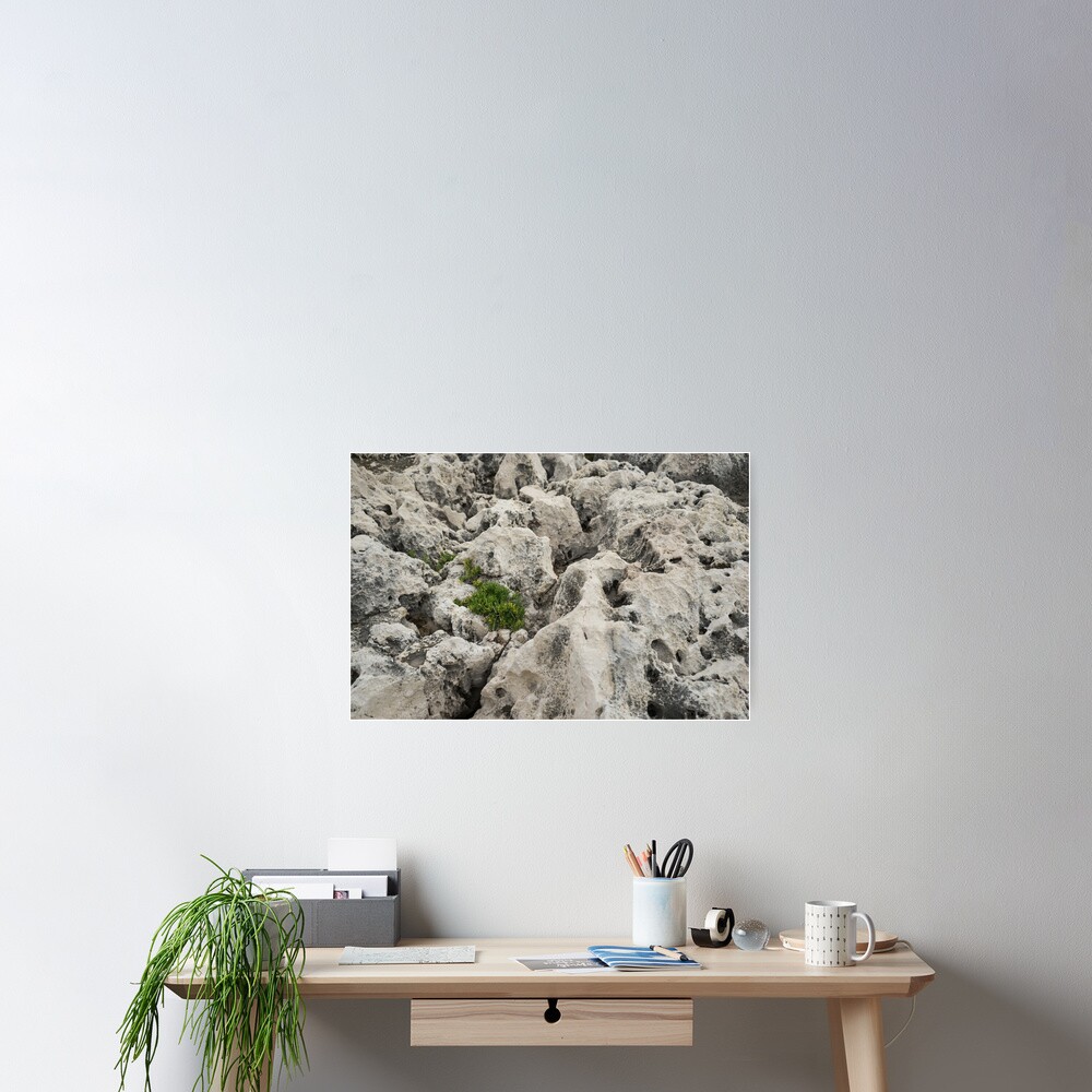 Life on Bare Rock - Weathered Limestone and Little Green Survivors Poster