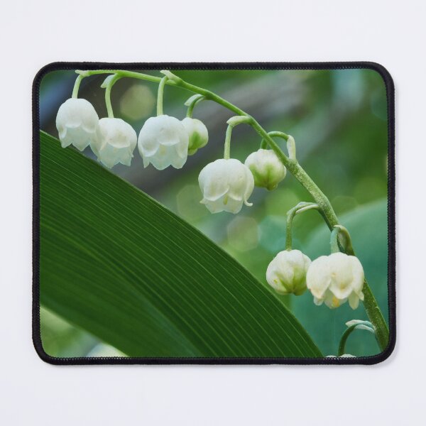 Item preview, Our Lady's tears. Lily of the valley designed and sold by Jouko Lehto Photography.