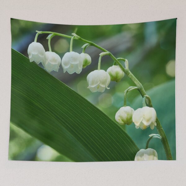 Item preview, Our Lady's tears. Lily of the valley designed and sold by Jouko Lehto Photography.