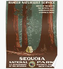 Mammutbaum-Nationalpark-Weinlese-Reise-Plakat Poster