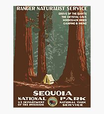 Sequoia National Park Vintage Travel Poster Photographic Print