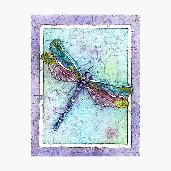 Favorite Dragonfly Photographic Print