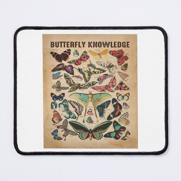 Item preview, Butterflies designed and sold by JakeGoodwin.
