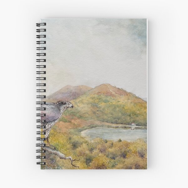 Item preview, Malvern Sparrowhawk designed and sold by Christopher Hughes.
