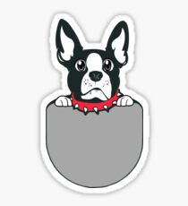 Boston Terrier Puppy Pocket Sticker