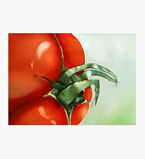 tomato Photographic Print