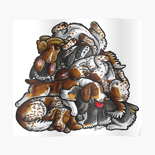 Sleeping pile of English Springer Spaniels Poster