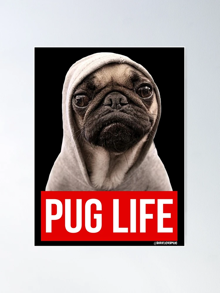 Pug life store reviews sale