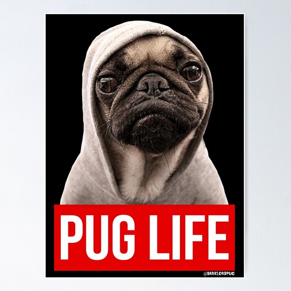 Original Pug Life Pug Poster