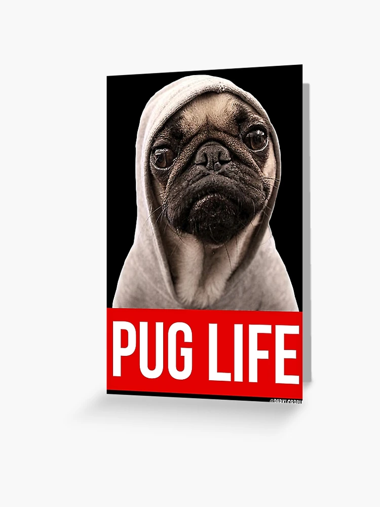 Pug life customer clearance service