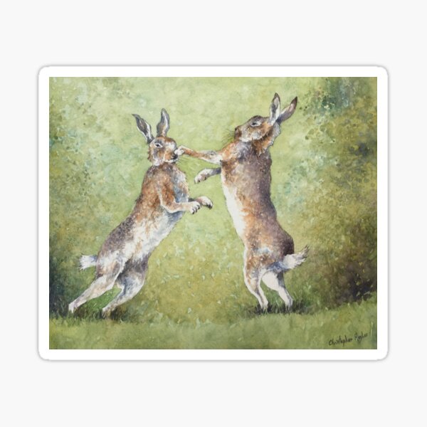 Boxing Hares Sticker